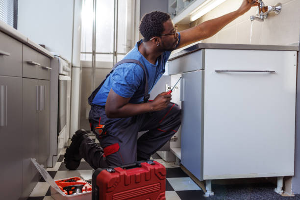 Best Garbage Disposal Repair and Installation  in Wapello, IA